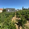 Magnífica Finca segregada en la zona de El Marquesado, Chiclana